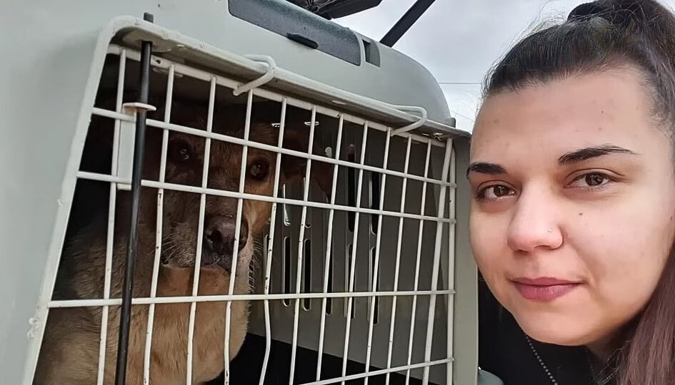 Extra image from article