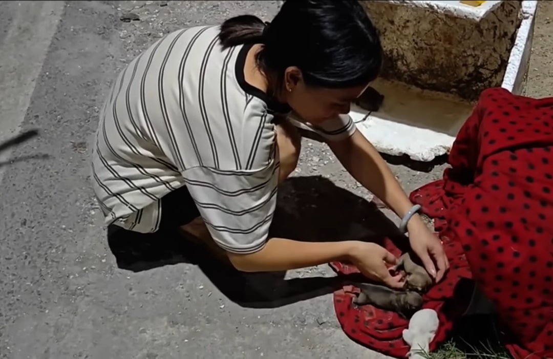 Extra image from article