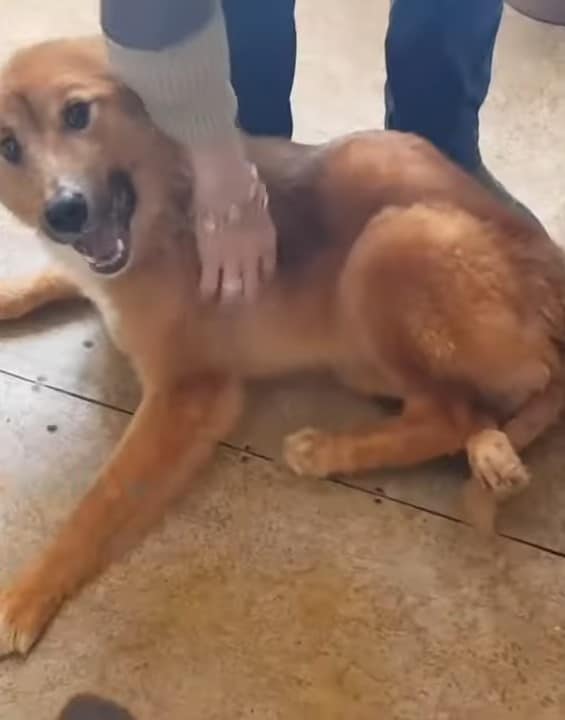 Extra image from article