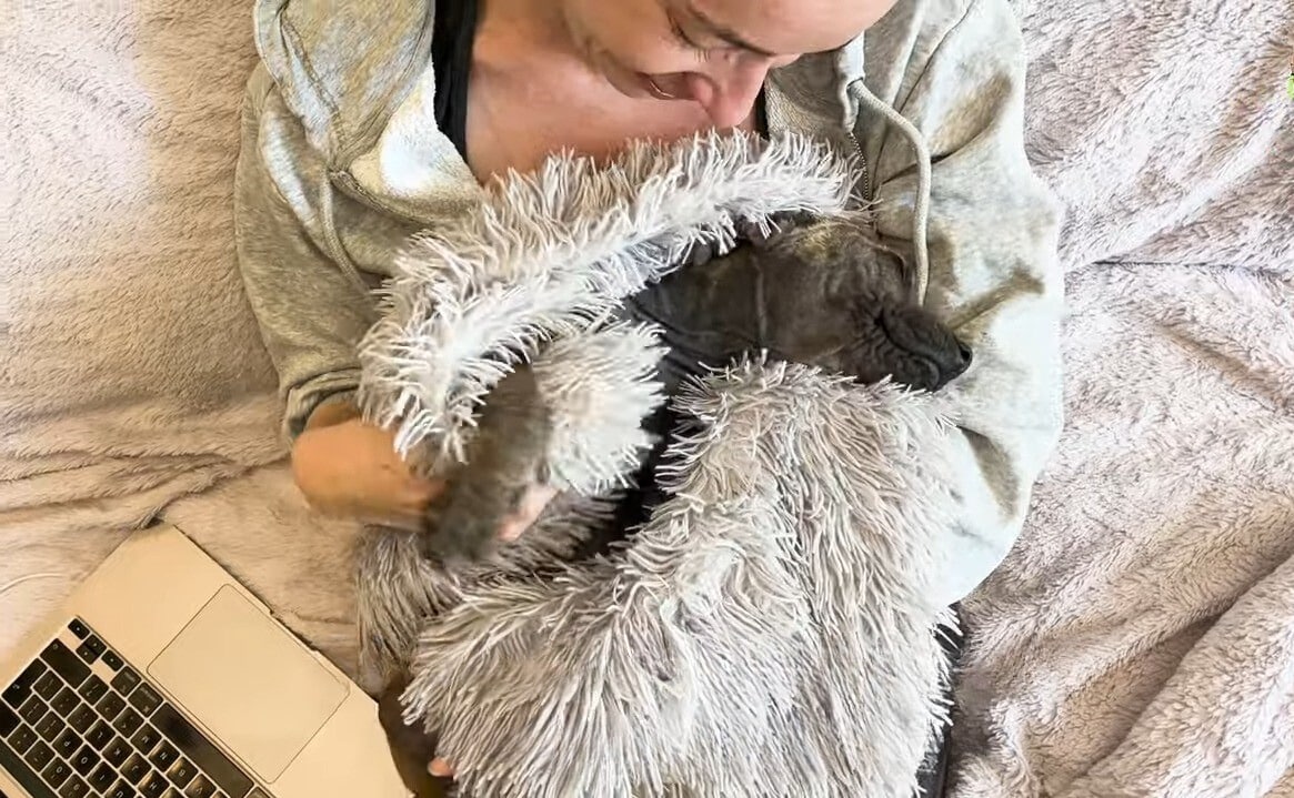 Over time, Pickle's skin healed, and her...