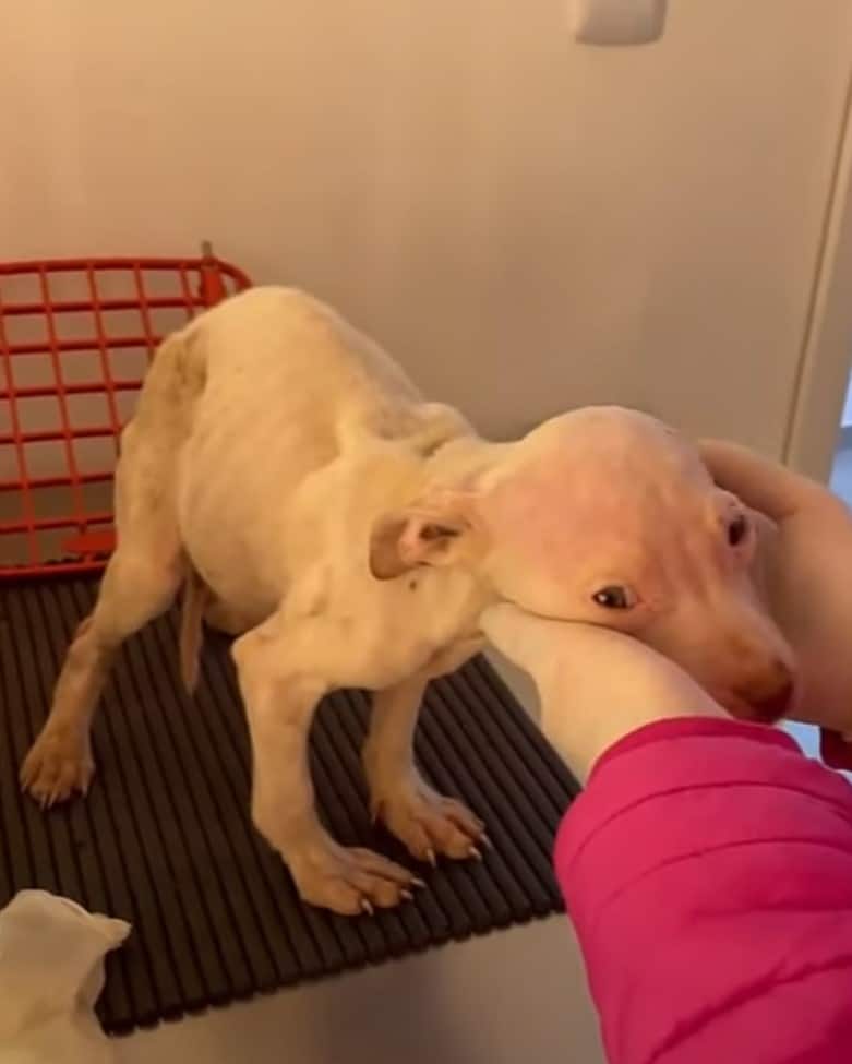 Extra image from article