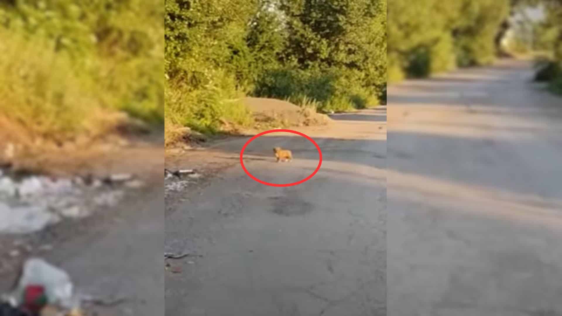 As the rescue team drove towards the loc...