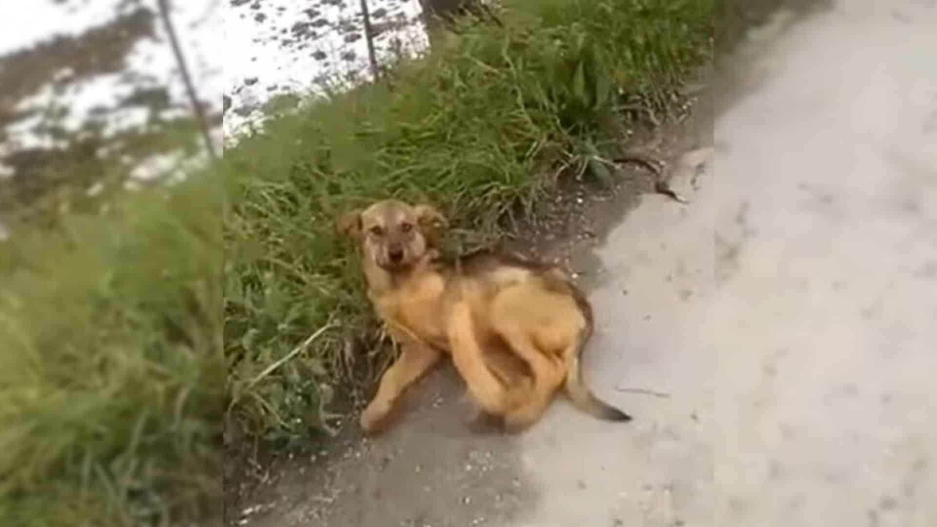 Many people walked past him, oblivious t...