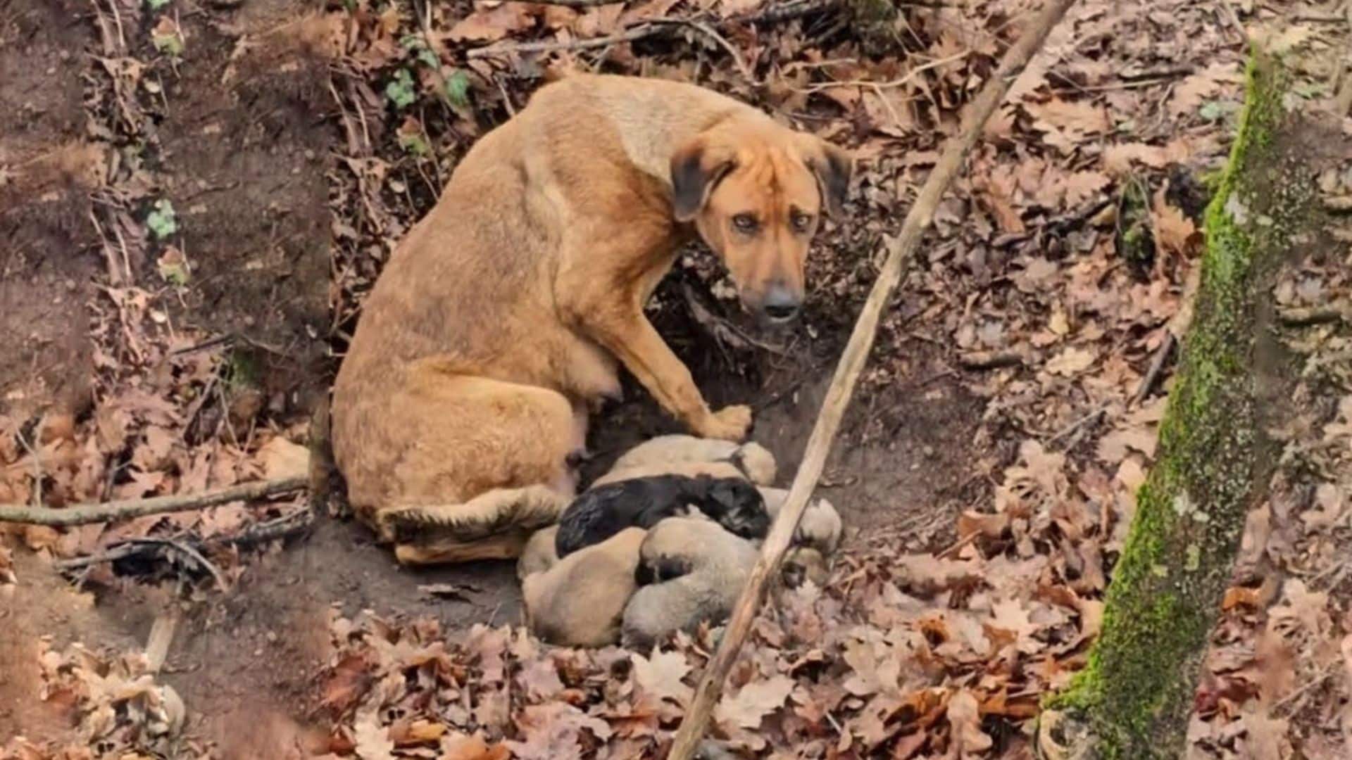 We have grown by each other’s side...