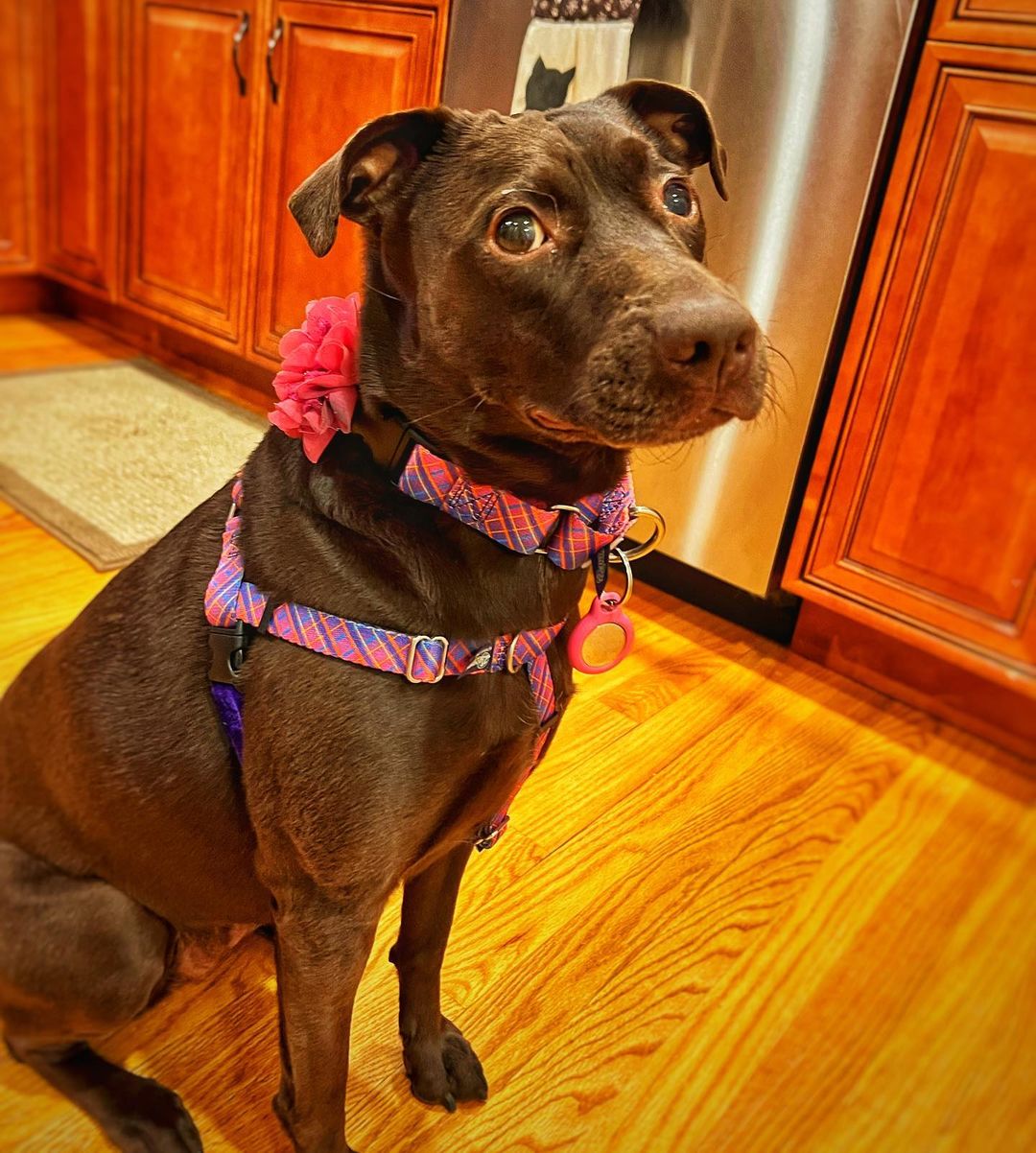 “She loves to use buttons to speak...