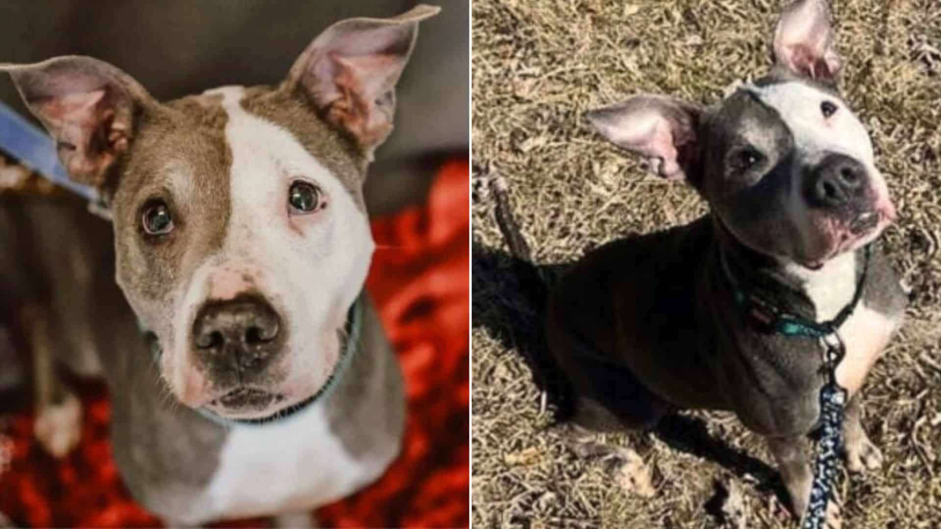 Avery spent her first year suffering fro...