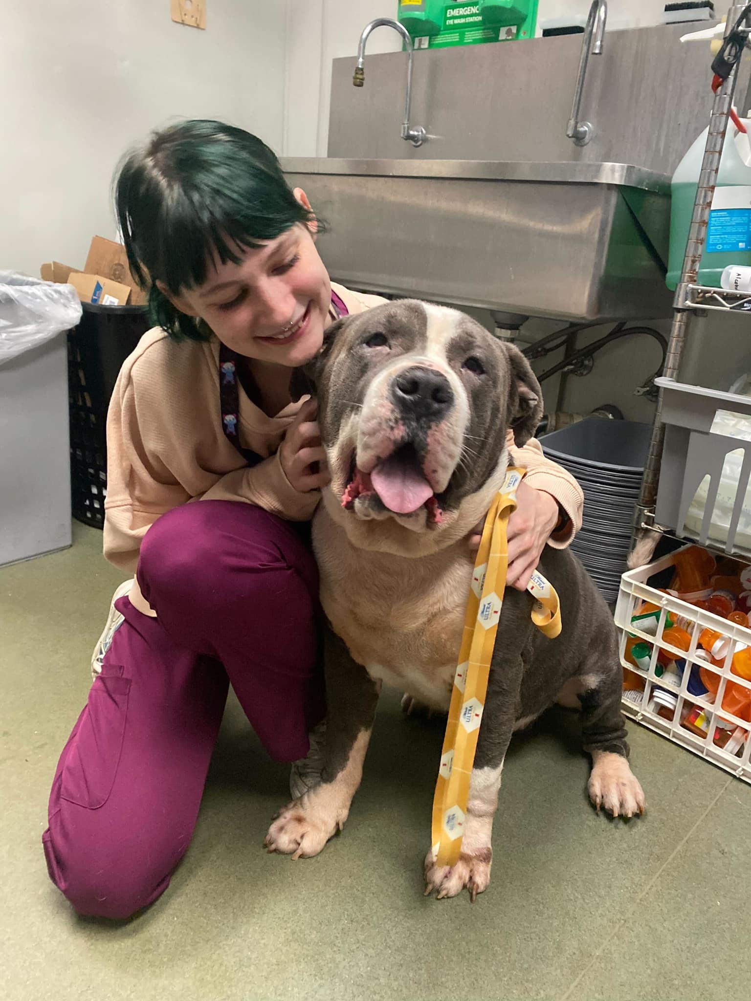 Gordough’s rescue story quickly be...