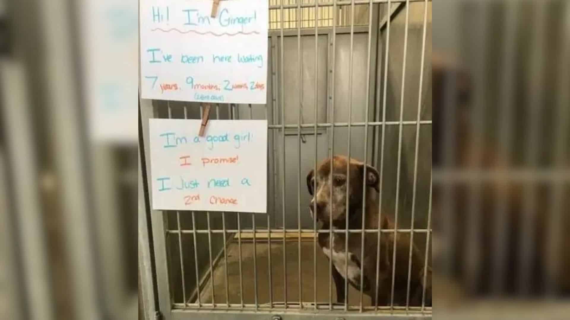 Ginger struggled with trust and anxiety,...