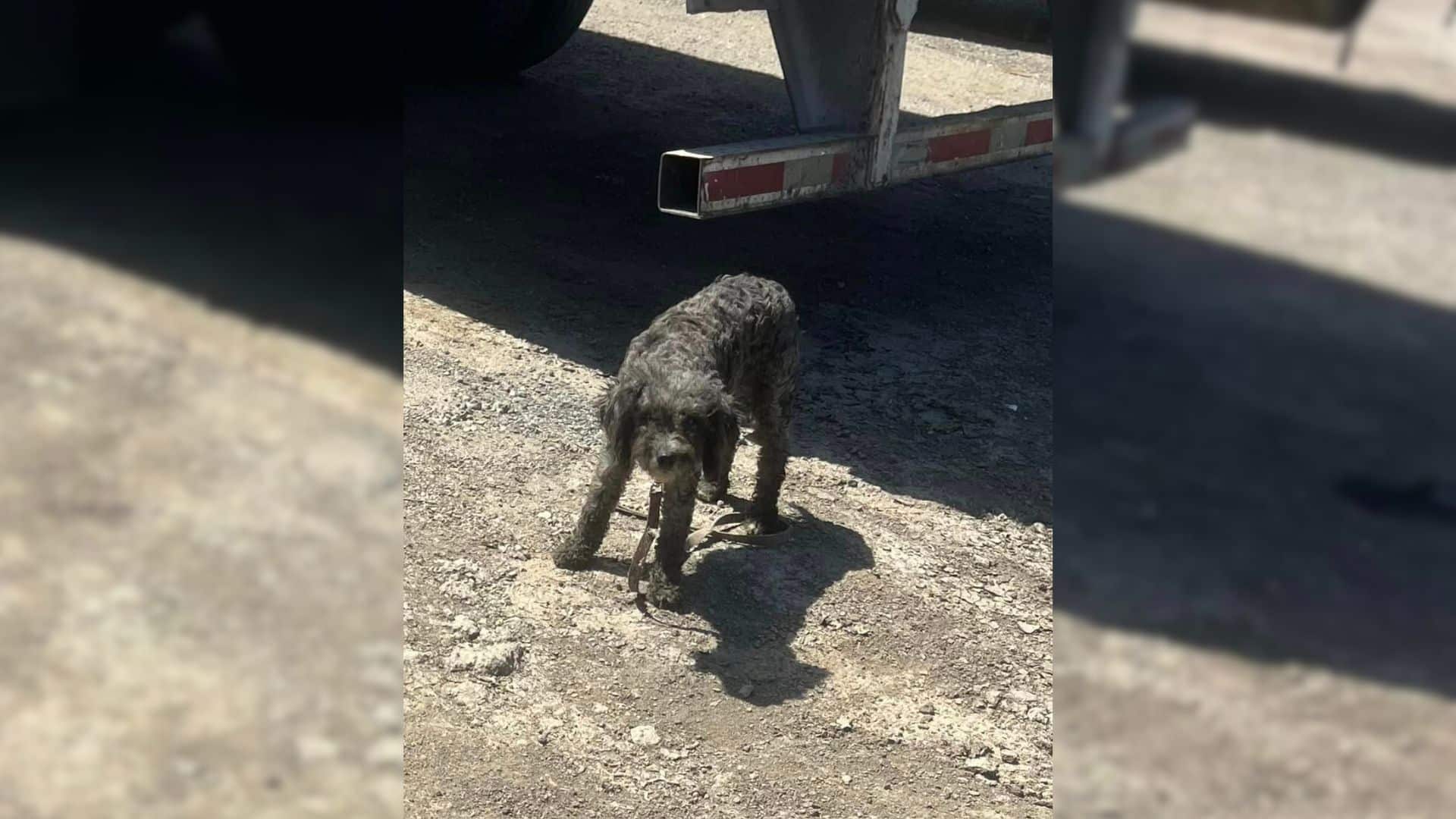 Recently, a group of drivers discovered ...