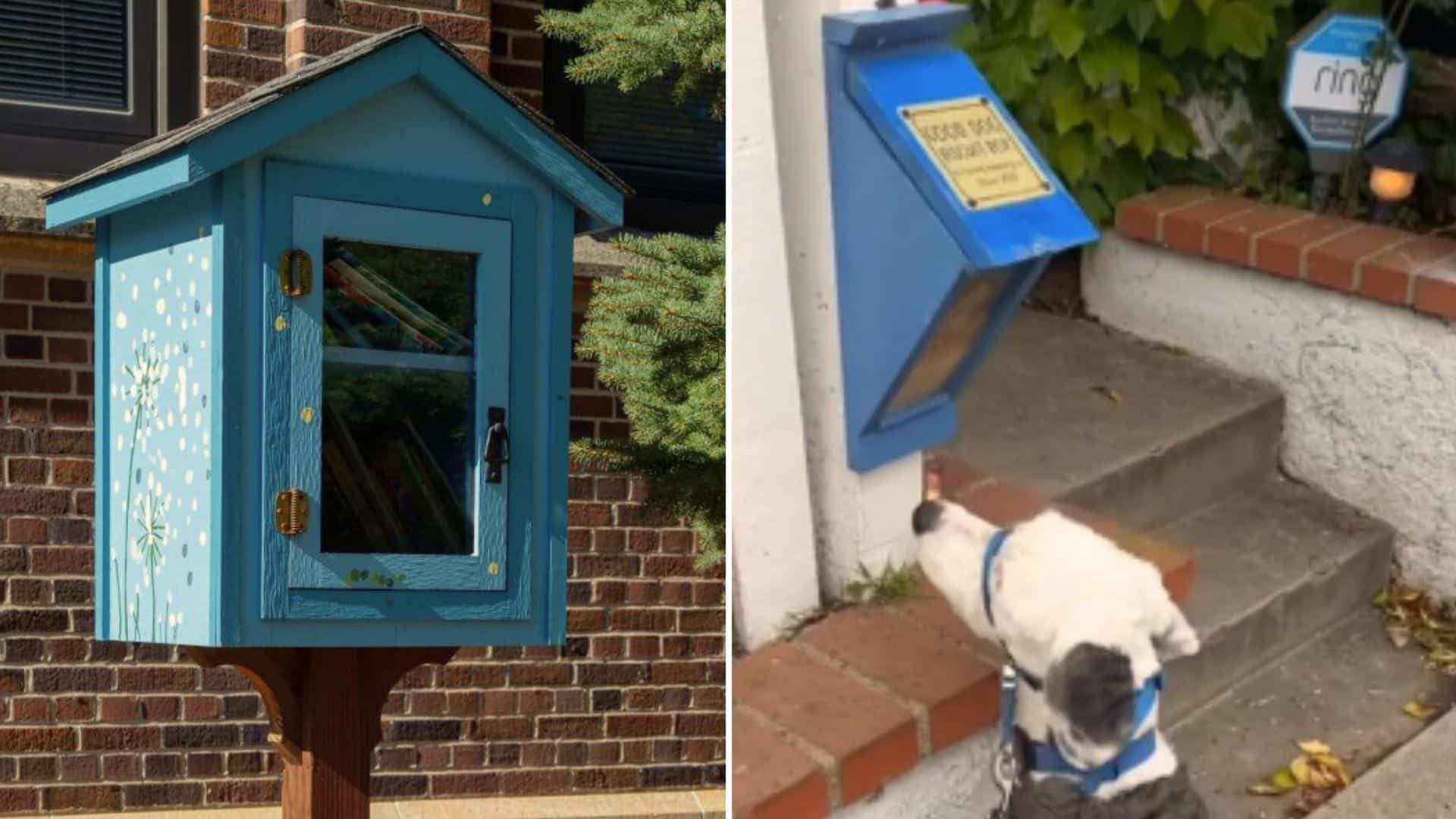 Curious, Dani approached and discovered ...