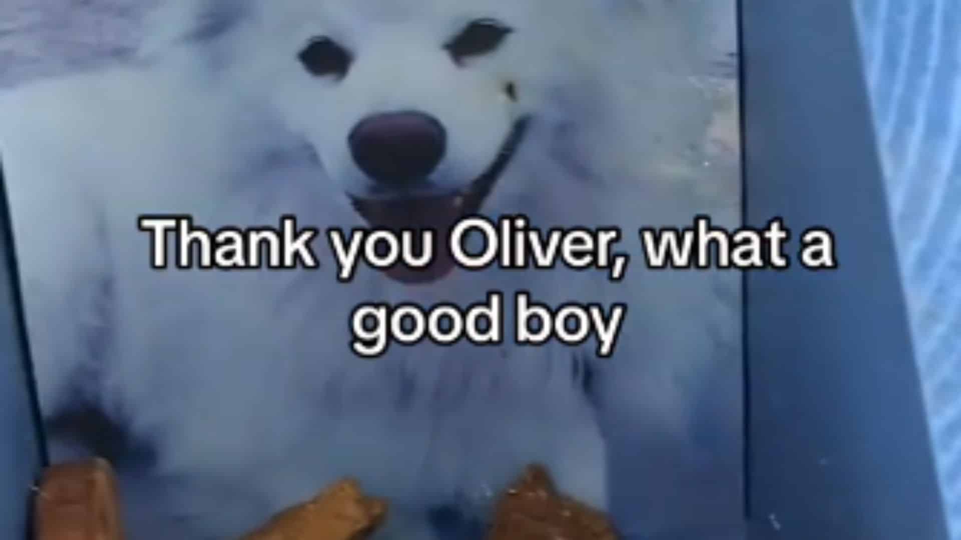 Treat boxes like Oliver's have been appe...