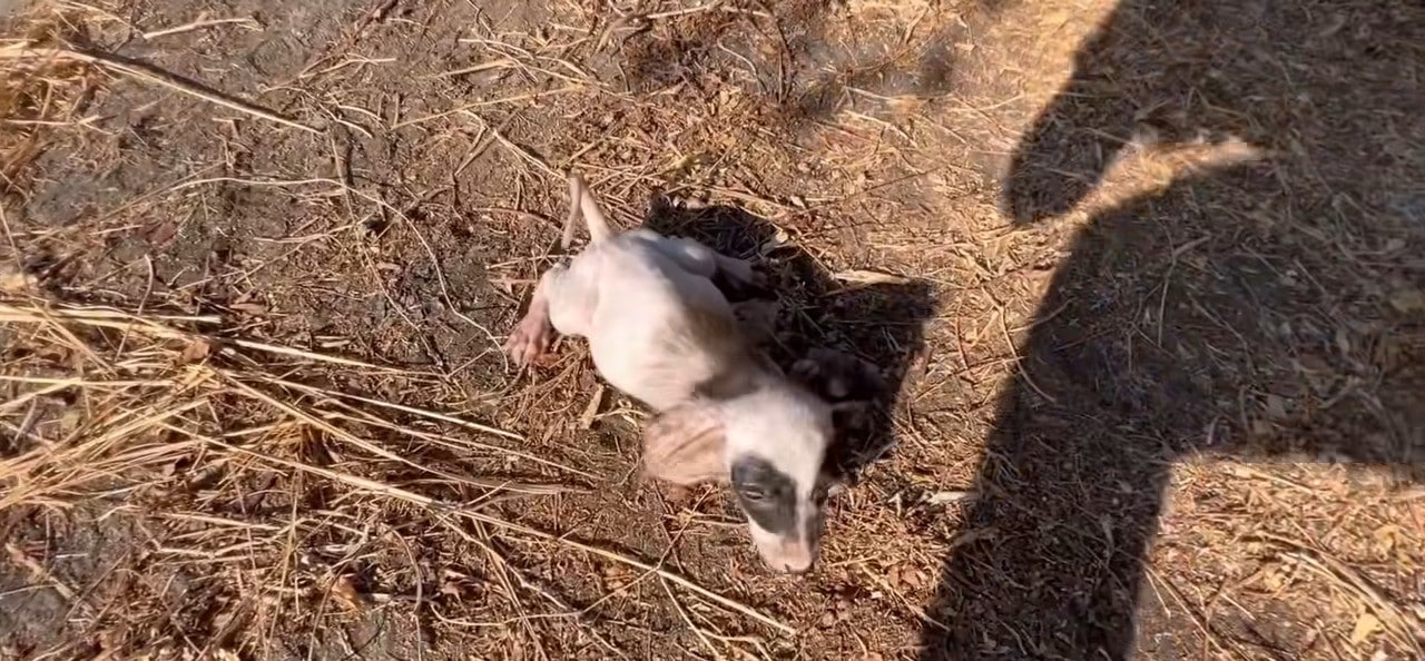 There was no time to waste, so he gave t...