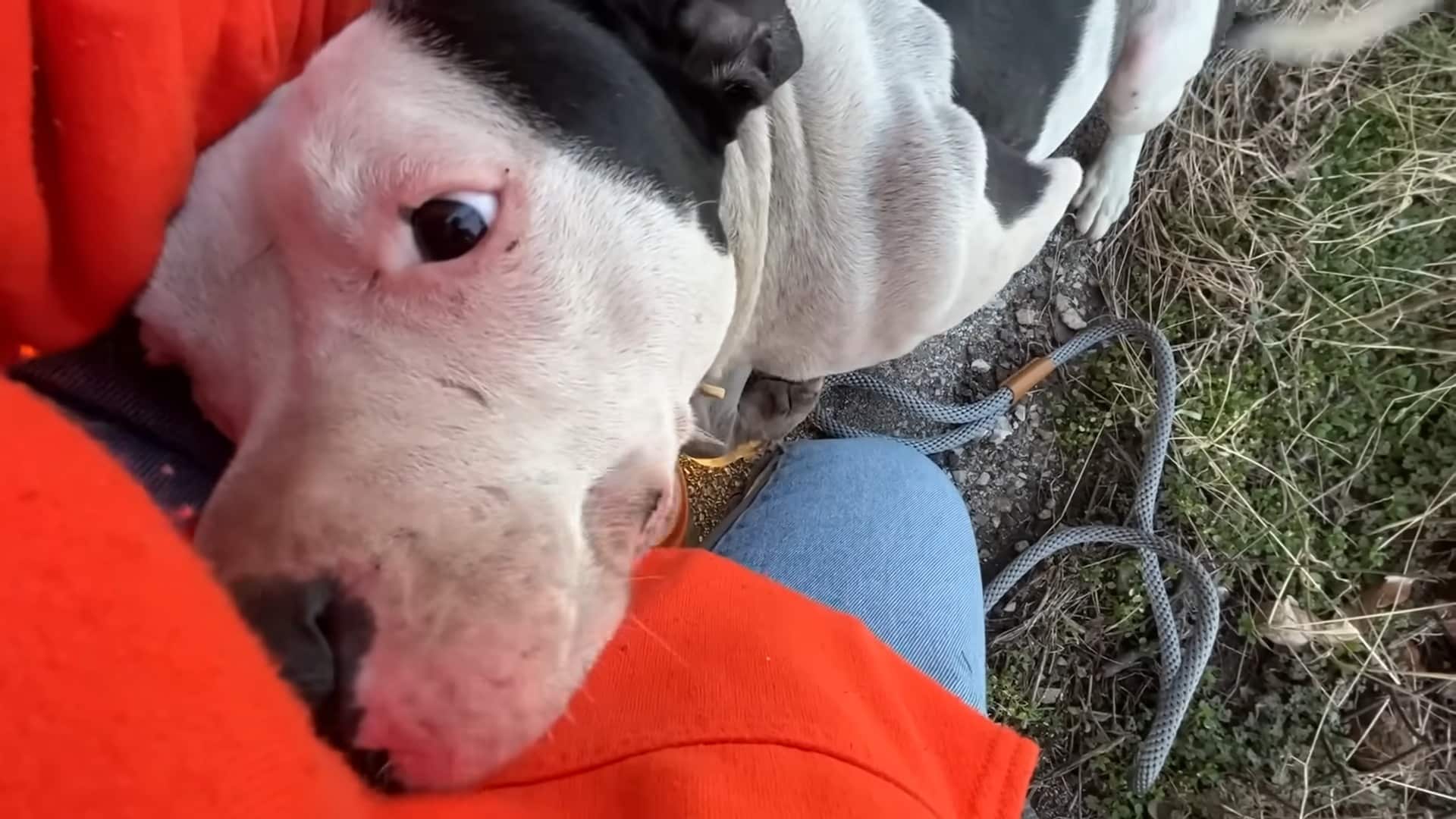 Having endured so much, Cutie Pie is now...