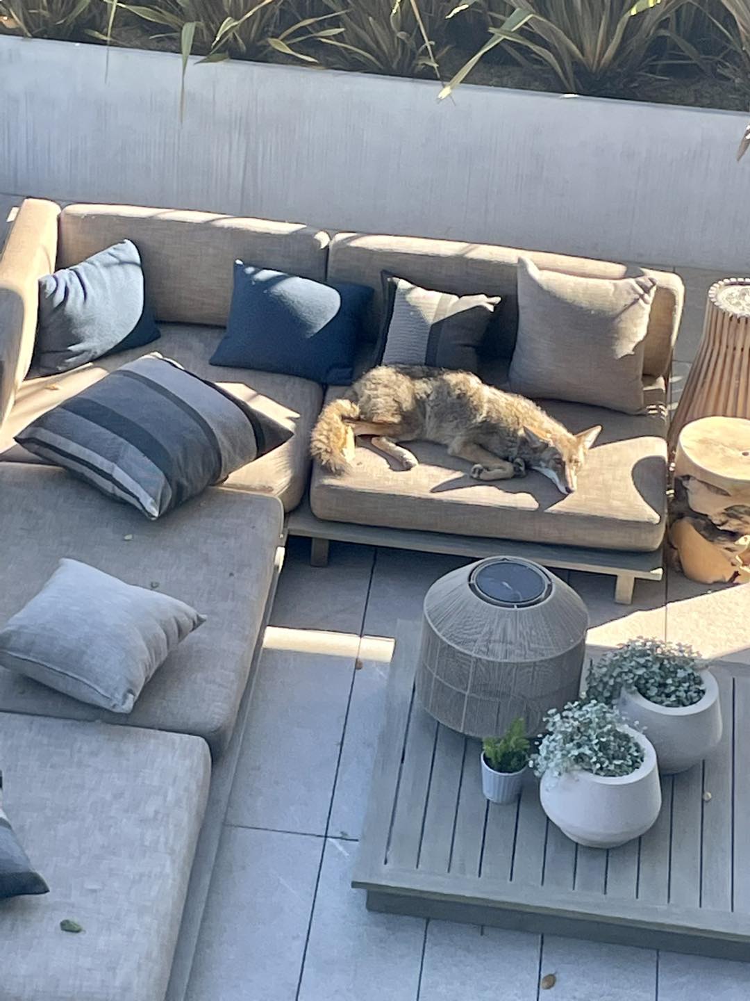 However, when the homeowner gathered the...