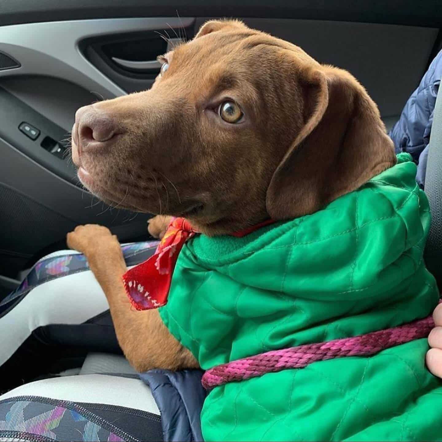 Soon, he moved to a foster home. As soon...