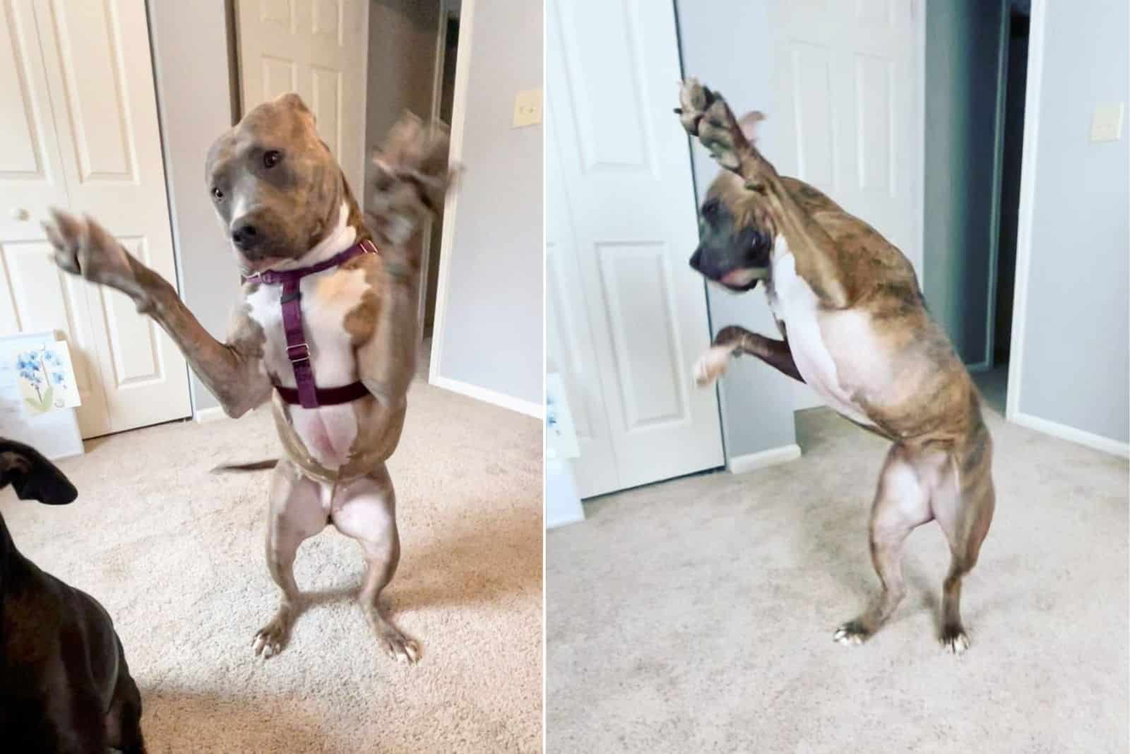 ...
