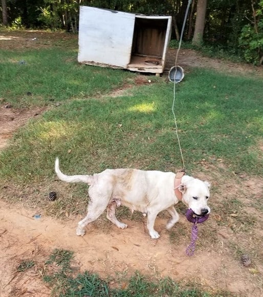 Maggie's journey was further supported b...