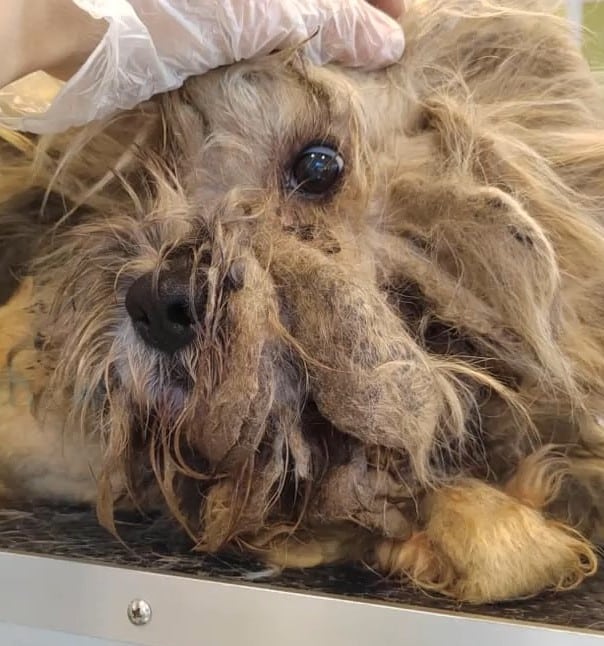 He was now safe with his rescuers, and t...