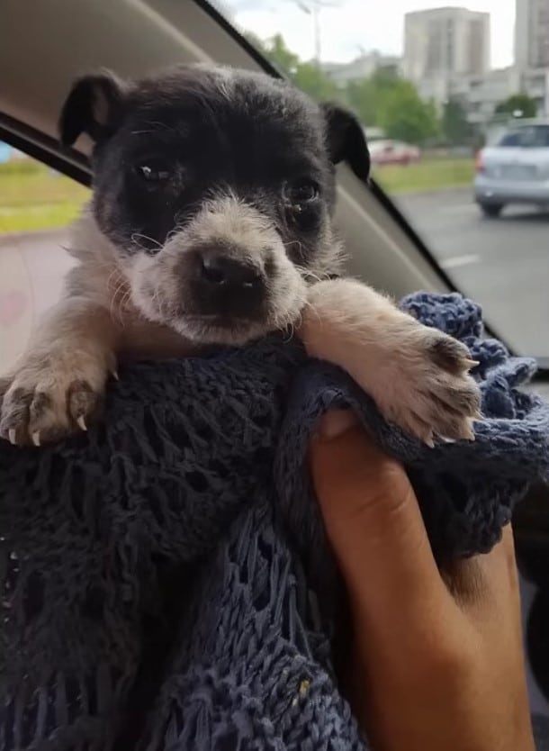 These moments bolstered his foster mom’s...