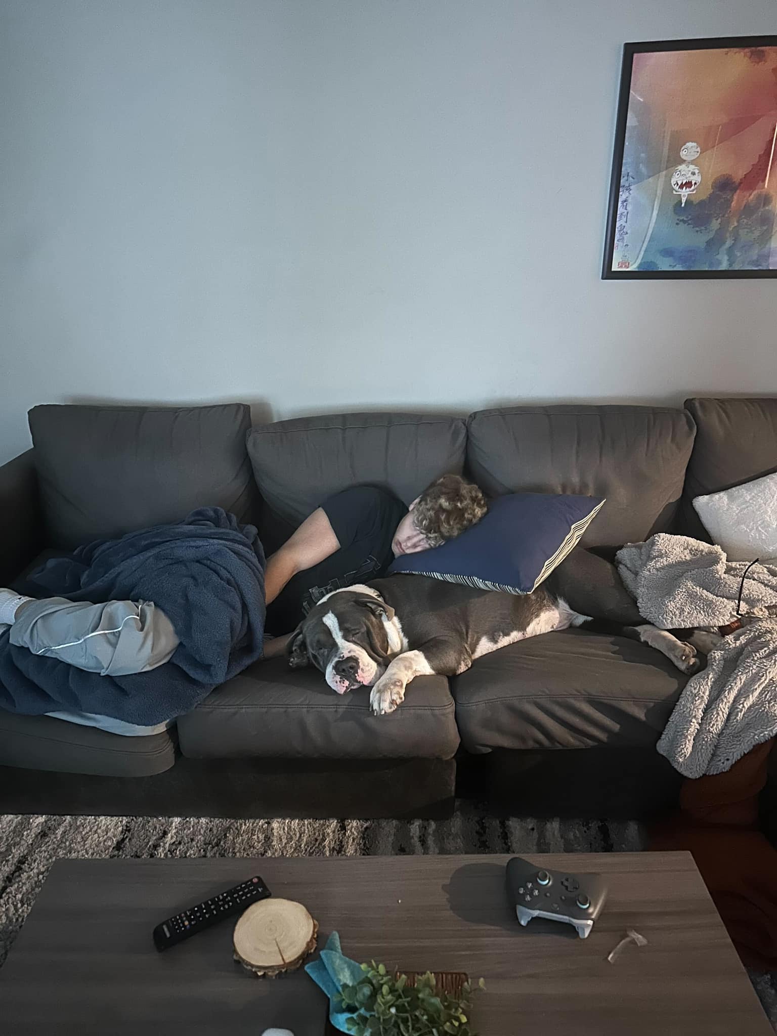 Extra image from article