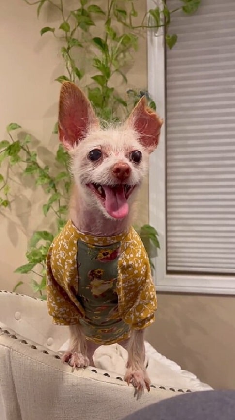 Blossom lives her best life in San Diego...
