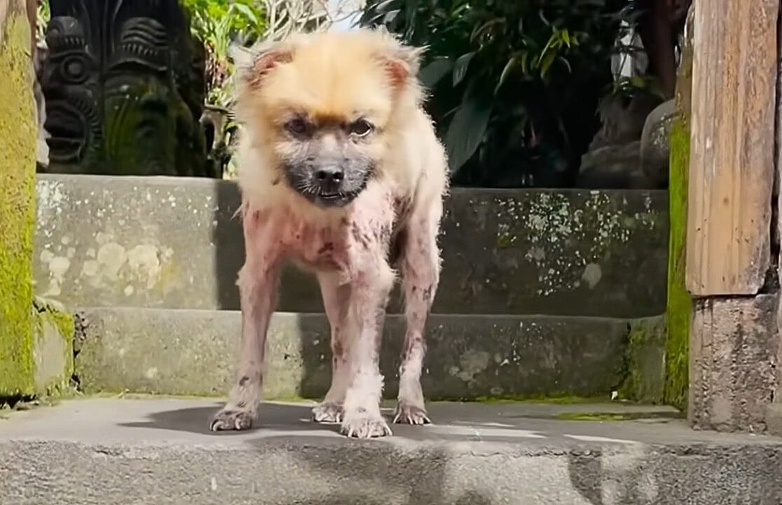 Captivated by his adorable underbite, Th...