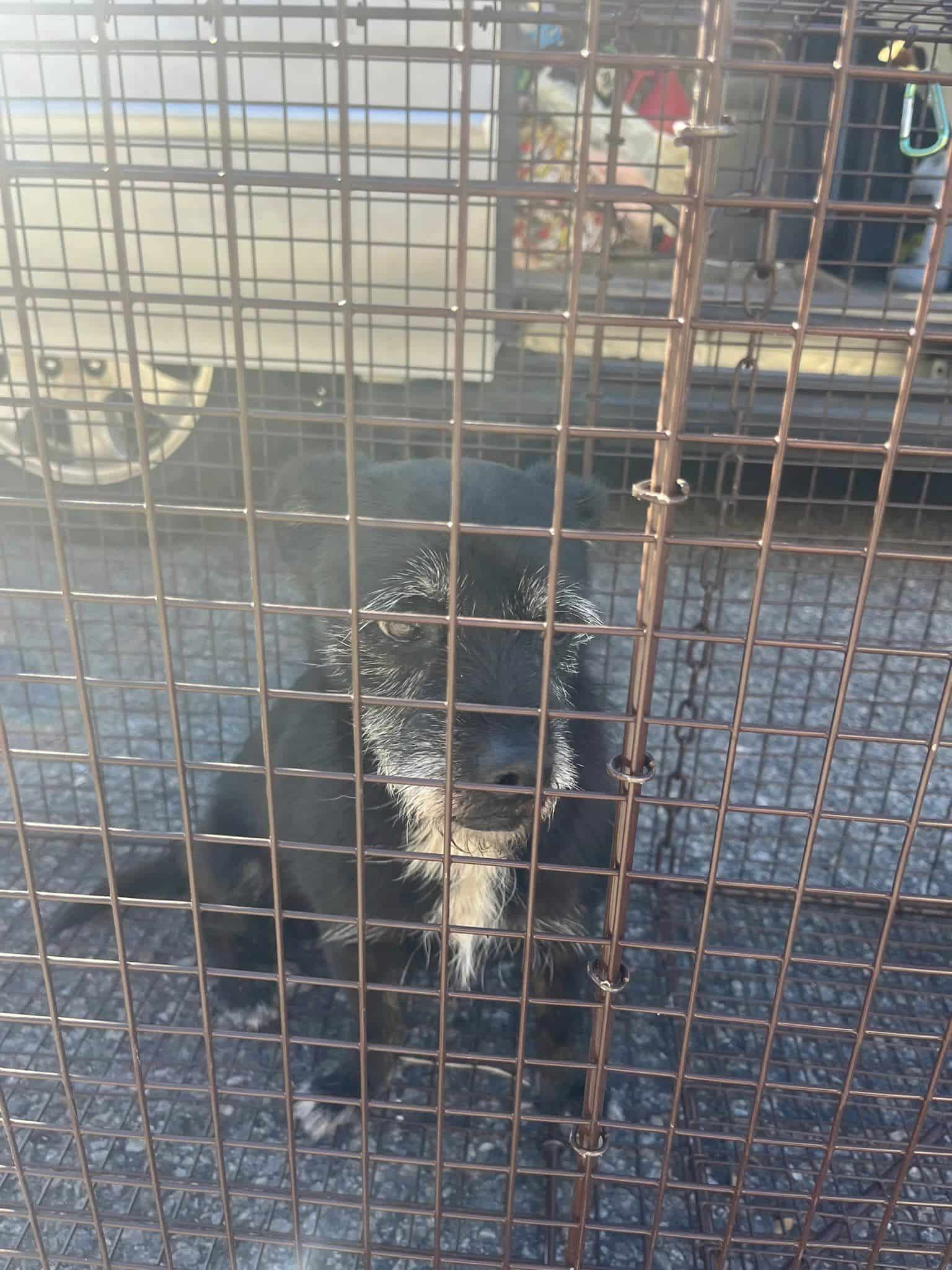 Marley’s family kept searching the...