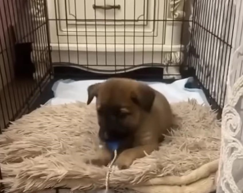 His energy levels had gone up and he was...