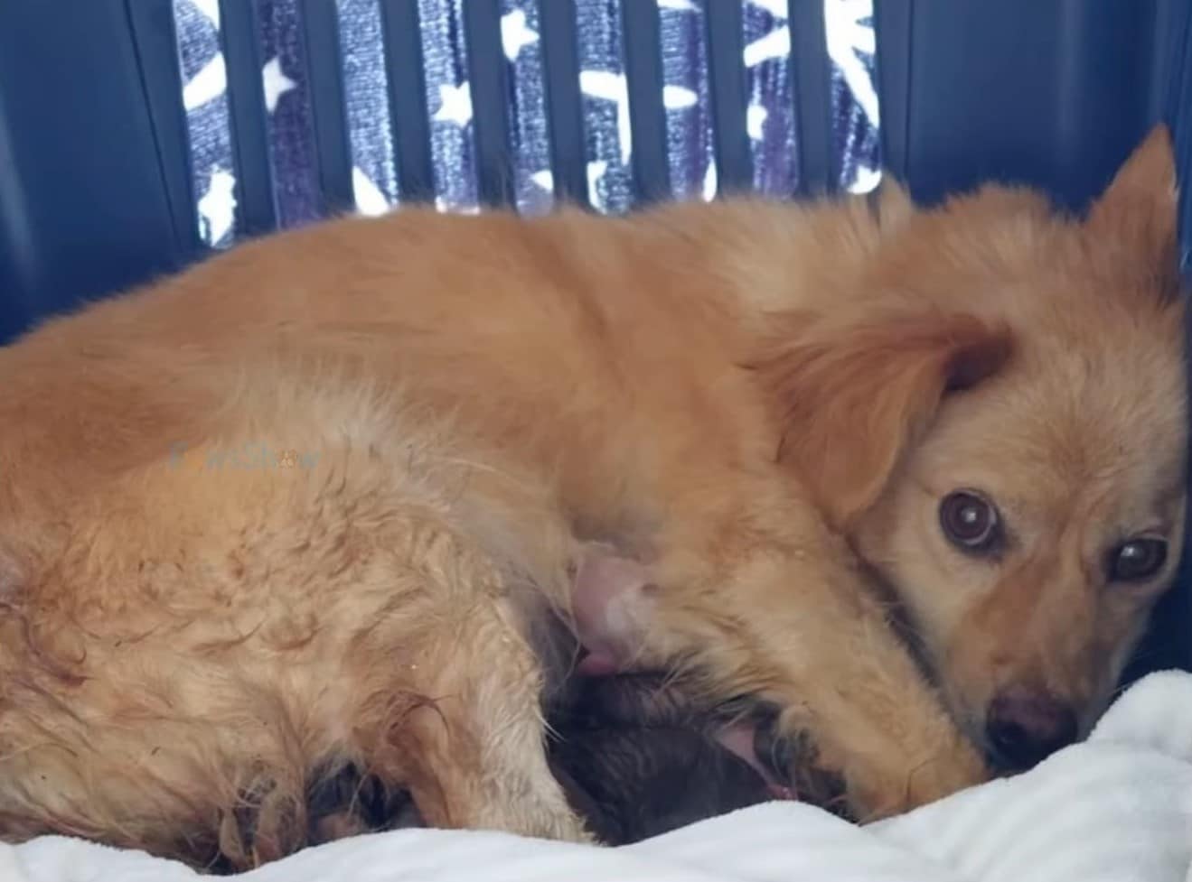 She was overjoyed to be a mother, but mo...
