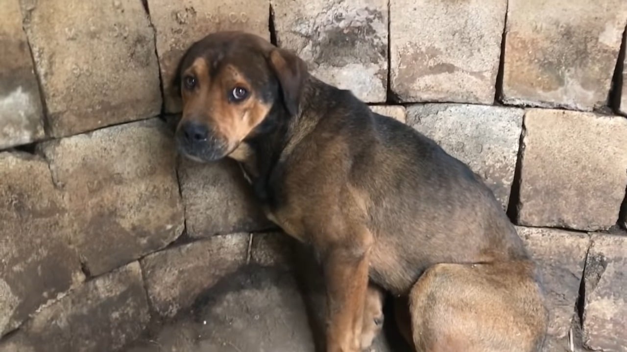 While the story ends here, the hope is t...