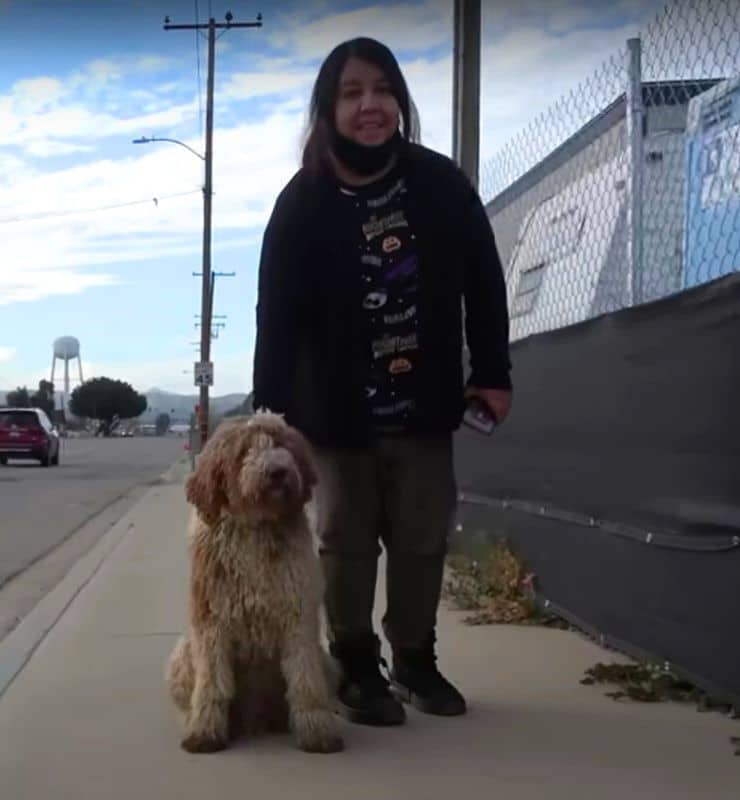 Back at the Hope For Paws facility, the ...