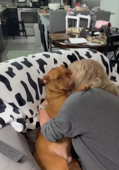When he was finally in his new home in F...