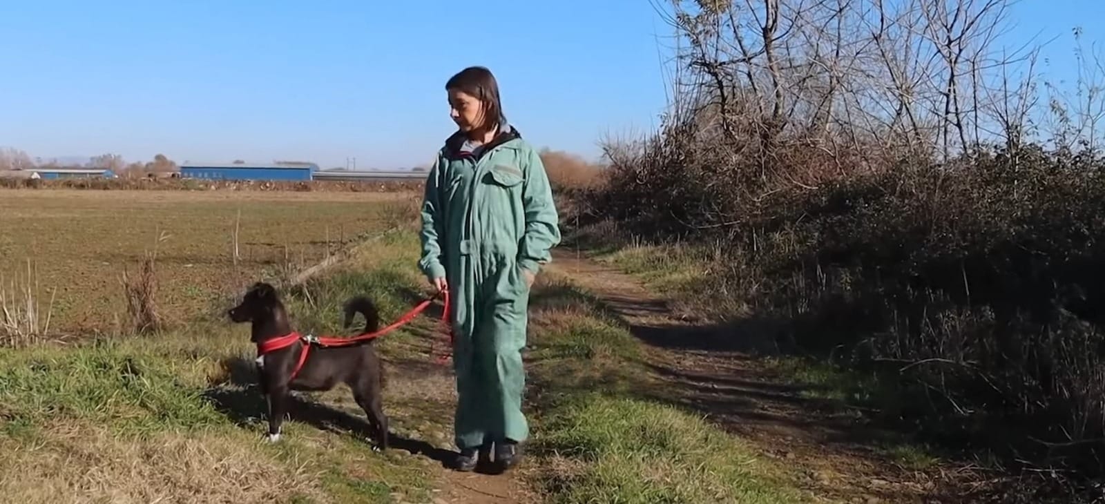 He was taken back to the shelter where t...