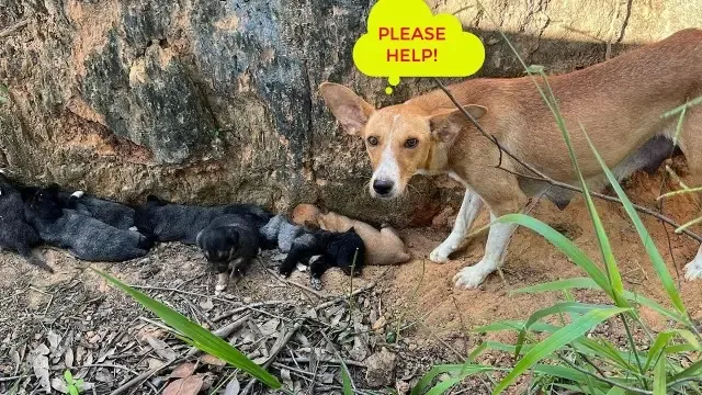 Despite her obvious fear of the approach...