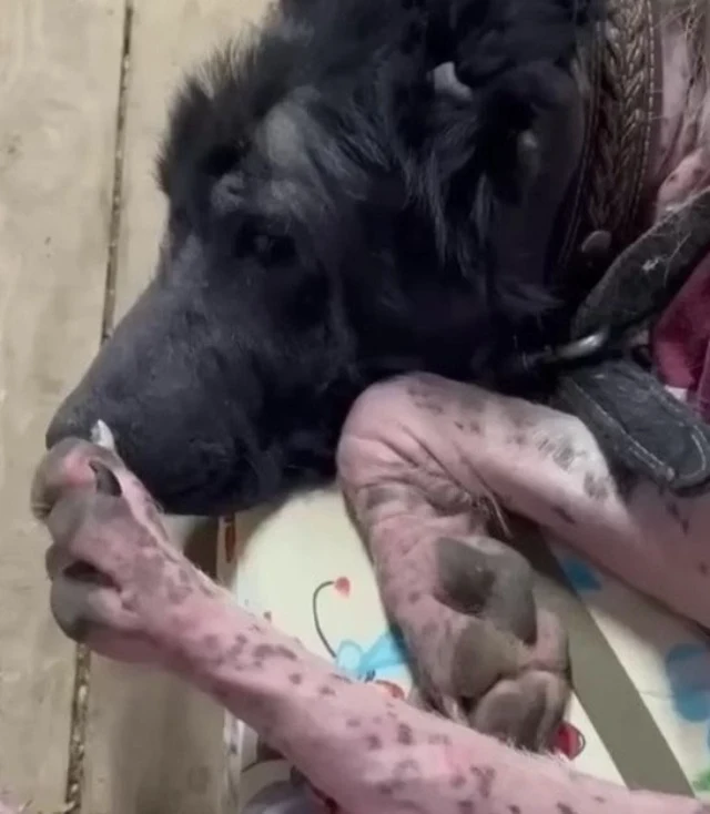 She is afraid to go outside and is fearf...