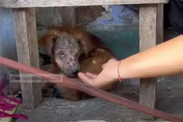 When we received the call about her, we ...