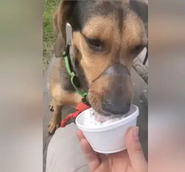 Against all odds, Chester managed to fre...