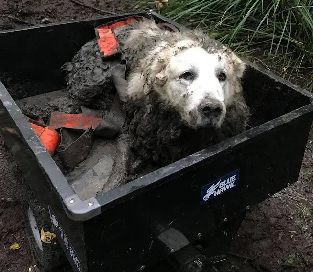 He may have been immobilized in the frig...