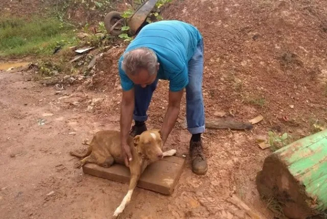 According to Lindomar Queiroz, the dog i...