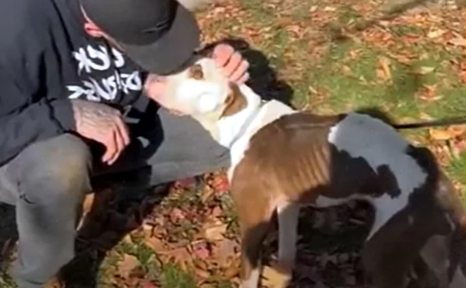 Extra image from article