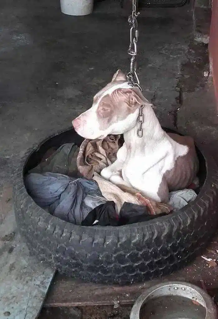 ...