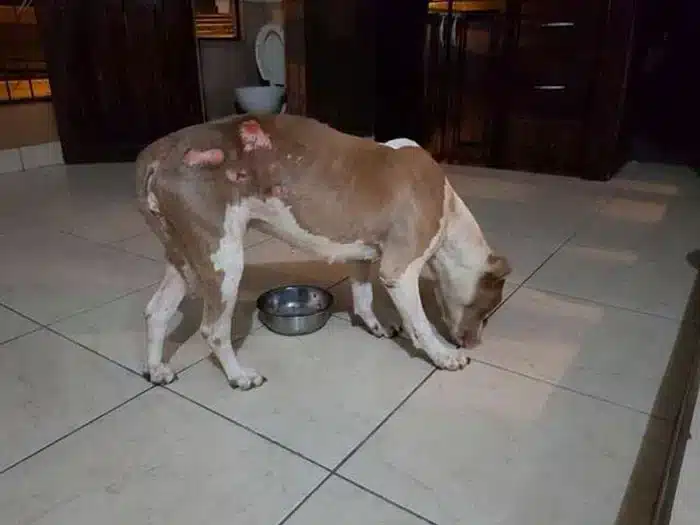 ...