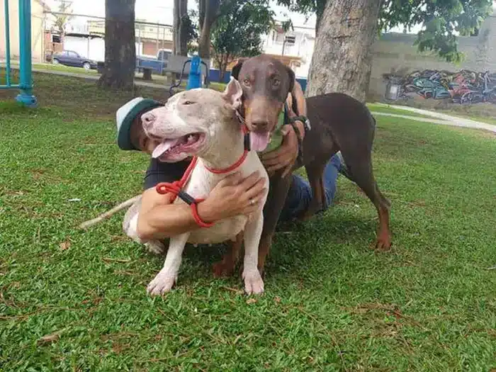 But the rescue team was not going to giv...