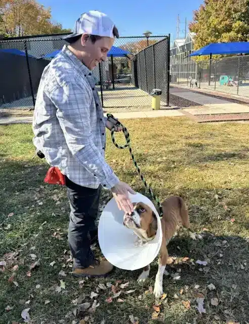 “She is very social, loves to wag ...