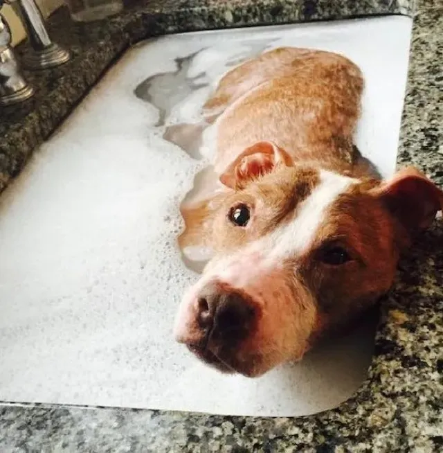 Rudy's particular spa treatments, which ...