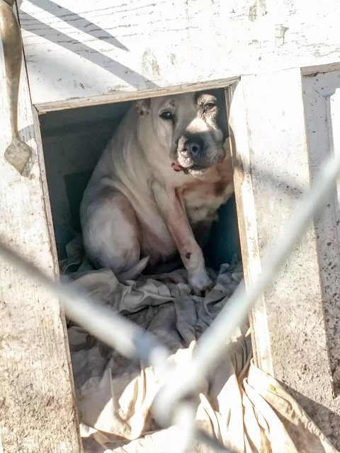 Pamela was obviously terrified about the...