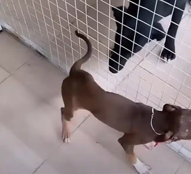And оnce her bandages came оff, eating b...