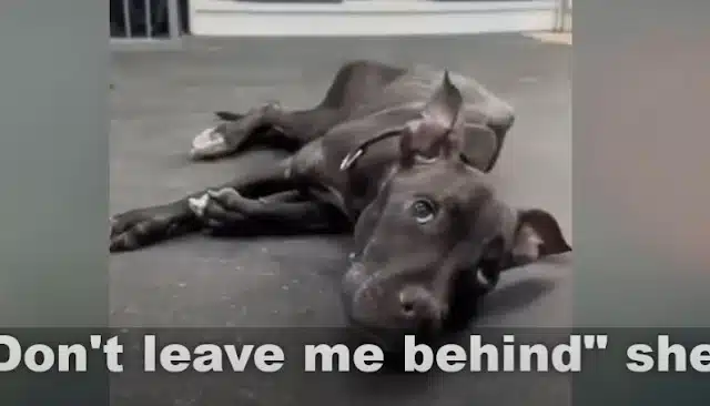 At first, she was hesitant, uncertain if...