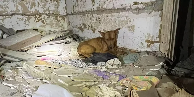 “We searched every floor and never...