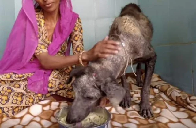 This further moved her rescuers who were...